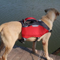 Load image into Gallery viewer, Pet backpack life jackets