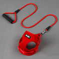 Load image into Gallery viewer, Close-up of red mesh harness and matching leash on gray background