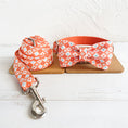 Load image into Gallery viewer, Orange Adventure Matching Collar And Leash Set