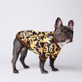 Load image into Gallery viewer, Warm tide brand dog coat