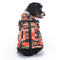 Charger l'image dans la visionneuse de la galerie, Black and white dog on white background modeling orange camo insulated dog jacket with adjustable harness straps