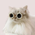 Load image into Gallery viewer, Cat And Dog Pearl Party Sunglasses
