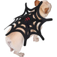 Charger l'image dans la visionneuse de la galerie, Small beige dog standing, wearing black felt spider web costume with red spider detail, shown in profile on white background