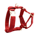 Cargar la imagen en la vista de la galería, Dog Collar Pet Collar Traction
