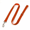 Load image into Gallery viewer, Orange dog leash with silver metal clasp isolated on white