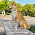 Load image into Gallery viewer, Dog Rope Pet Pulling Rope Puppy Strap Traction Rope Heavy Duty Belt Large Dog Leash Dog Collar Strap Dog Training Pet Harness Hands-Free Leash For Small Dogs Multicolor Pet Supplies