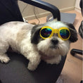Charger l'image dans la visionneuse de la galerie, Dog Sunglasses Foldable Medium Size Waterproof Goggles UV Protection Glasses For Pets