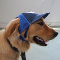 Charger l'image dans la visionneuse de la galerie, Golden retriever dog wearing a blue corduroy and mesh baseball cap with embroidered G