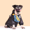 Cargar la imagen en la vista de la galería, Small dog wearing black warm reflective jacket with attached blue and orange pouch and sunglasses
