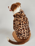 Load image into Gallery viewer, Brown and white dog sitting on floor showing back of plush leopard print jacket with tail exposed