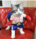 Load image into Gallery viewer, Boxer Cat Costume