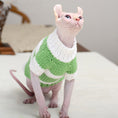 Cargar la imagen en la vista de la galería, Hairless cat in green and white striped wool sweater looking upwards