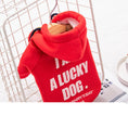 Charger l'image dans la visionneuse de la galerie, Warm Cat Puppy Clothes Pet Trendy Sweater