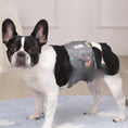 Charger l'image dans la visionneuse de la galerie, Pet Washable Physiological Dog Diaper Pants