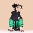 Cargar la imagen en la vista de la galería, Small dog wearing black and green padded jacket sitting and looking up