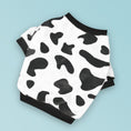 Cargar la imagen en la vista de la galería, Flat lay of white fleece dog sweater with black cow spots and black ribbed collar and cuffs on blue background