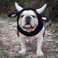 Load image into Gallery viewer, Windproof Halloween Knitted Dog Hat