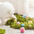 Load image into Gallery viewer, White fluffy cat playing with pastel-colored glowing balls and plush teaser balls on a moss-themed play area