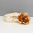 Load image into Gallery viewer, Collar detail showing gold buckle and D-ring on cream lace material