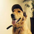 Charger l'image dans la visionneuse de la galerie, Golden retriever dog wearing a brown corduroy baseball cap with an embroidered G