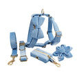 Load image into Gallery viewer, Blue velvet adjustable dog collar set with matching leash, bow tie, flower accessory, and waste bag holder