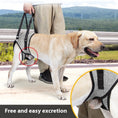 Load image into Gallery viewer, Elderly Dog Outing Back-style Auxiliary Strap