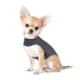 Load image into Gallery viewer, Small Chihuahua dog sitting and wearing a dark gray anxiety vest