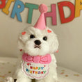 Charger l'image dans la visionneuse de la galerie, Party Birthday Hat Bib Dog Cat Pet Saliva Pocket Saliva Towel Bichon Frise
