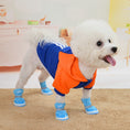 Cargar la imagen en la vista de la galería, White fluffy dog wearing blue knit booties and orange hoodie indoors on carpet