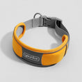 Load image into Gallery viewer, Cute Dog Collar Leash Explosion-proof And Anti-off