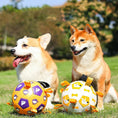 Cargar la imagen en la vista de la galería, Two dogs sitting on grass with two colorful inflatable interactive dog toy balls with loops and dog prints
