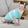 Cargar la imagen en la vista de la galería, Hairless cat wearing light blue and white striped wool sweater sitting indoors