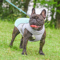 Load image into Gallery viewer, Summer Pet Outdoor Breathable Cooling Vest