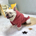 Charger l'image dans la visionneuse de la galerie, Plush thick warm pet dog clothes