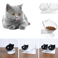 Load image into Gallery viewer, Cat Double Bowl Cat Food Bowl Protects Cervical Vertebra