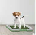 Load image into Gallery viewer, Small brown and white puppy standing on green artificial grass dog potty tray indoors