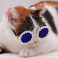 Load image into Gallery viewer, Cat And Dog Pearl Party Sunglasses