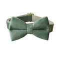 Load image into Gallery viewer, Close-up view of the mint green velvet dog bow tie accessory