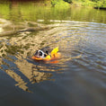 Cargar la imagen en la vista de la galería, French Bulldog swimming in water wearing bright orange dragon tail life jacket