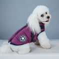Cargar la imagen en la vista de la galería, Ropa impermeable para perros, abrigo de invierno para perros con arnés, ropa cálida para mascotas, chaqueta para perros grandes, abrigo para chihuahua y labrador, disfraz