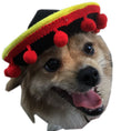 Load image into Gallery viewer, Mexican style dog hats