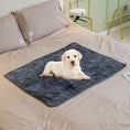 Cargar la imagen en la vista de la galería, Small white puppy lying on a dark navy blue plush pet blanket on a beige bed
