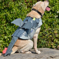 Load image into Gallery viewer, Flying Dragon Cosplay Dog Swimsuit