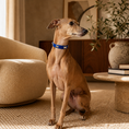 Load image into Gallery viewer, Faux Leather Dog Collar with Bone Studs