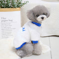 Load image into Gallery viewer, Small gray dog sitting and wearing white Arizona fleece dog jumper with blue collar and cuffs