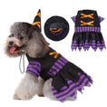 Load image into Gallery viewer, Small fluffy dog sitting wearing the witch costume and hat, alongside the costume and hat laid flat to show details.