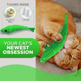 Load image into Gallery viewer, Orange cat lying on floor chewing green lizard toy with inset showing hidden bell and catnip pouch inside