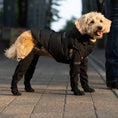 Cargar la imagen en la vista de la galería, DOGGIE STRAP PAW PROTECTORS Out Dog Shoes Pet Shoes Waterproof Non-slip