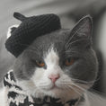 Load image into Gallery viewer, Close-up of gray and white cat wearing a black knitted beret and black-beige plaid scarf