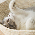 Load image into Gallery viewer, Close-up of gray and white cat resting inside the rattan bed